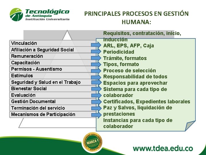 PRINCIPALES PROCESOS EN GESTIÓN HUMANA: Vinculación Afiliación a Seguridad Social Remuneración Capacitación Permisos -