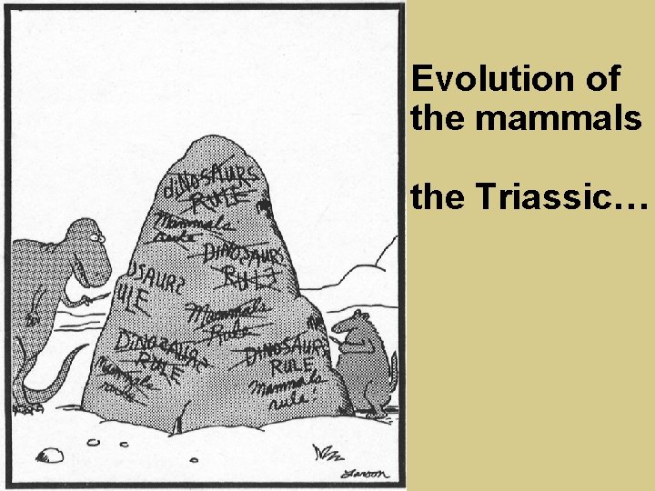 Evolution of the mammals the Triassic… 