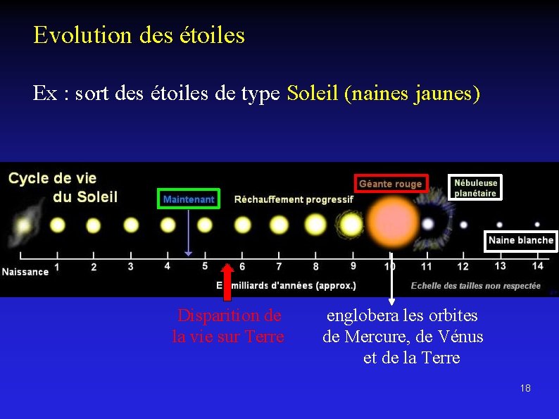 Evolution des étoiles Ex : sort des étoiles de type Soleil (naines jaunes) Disparition