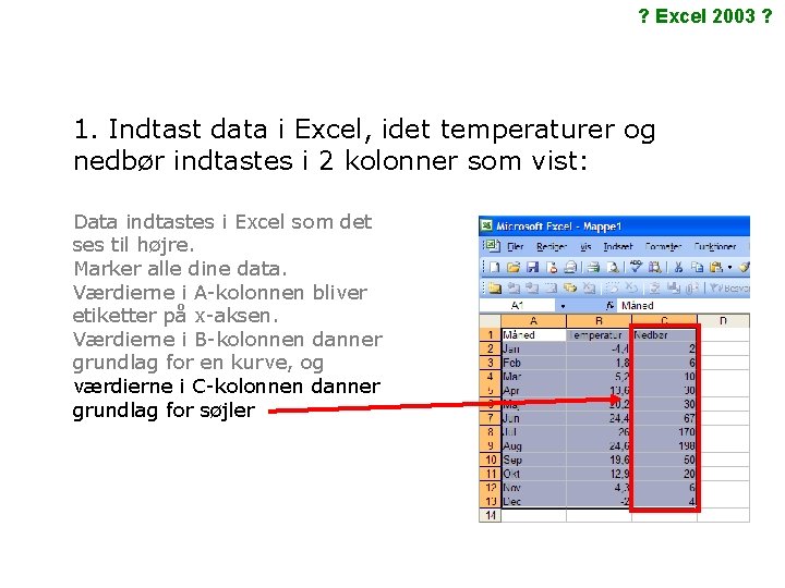 ? Excel 2003 ? 1. Indtast data i Excel, idet temperaturer og nedbør indtastes