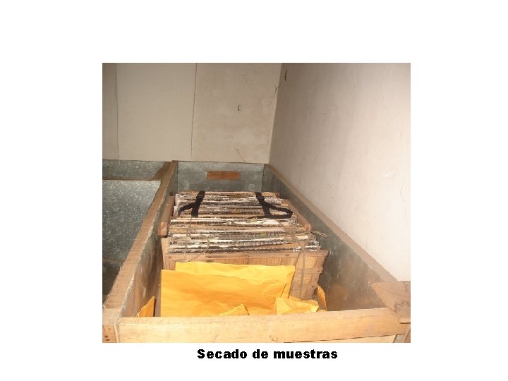 Secado de muestras 