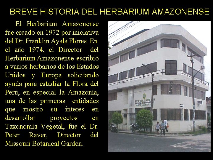 BREVE HISTORIA DEL HERBARIUM AMAZONENSE El Herbarium Amazonense fue creado en 1972 por iniciativa