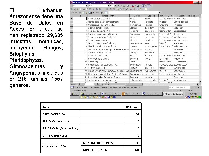 El Herbarium Amazonense tiene una Base de Datos en Acces en la cual se