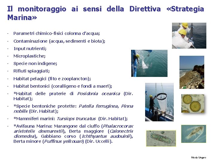 Il monitoraggio ai sensi della Direttiva «Strategia Marina» - Parametri chimico-fisici colonna d’acqua; -