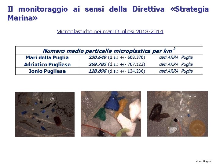 Il monitoraggio ai sensi della Direttiva «Strategia Marina» Microplastiche nei mari Pugliesi 2013 -2014