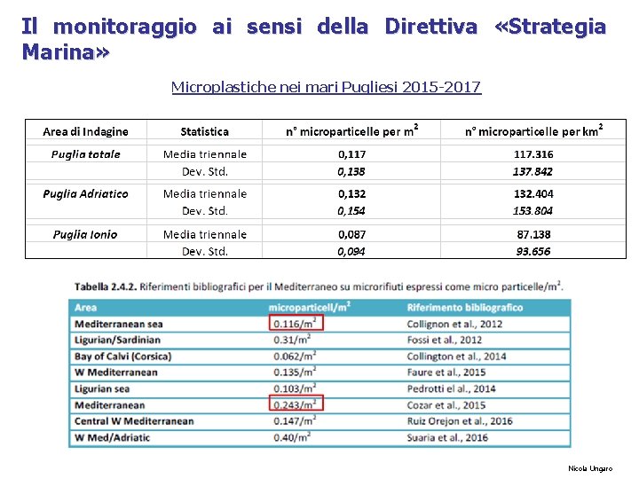 Il monitoraggio ai sensi della Direttiva «Strategia Marina» Microplastiche nei mari Pugliesi 2015 -2017