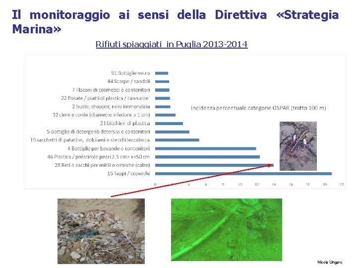 Il monitoraggio ai sensi della Direttiva «Strategia Marina» Rifiuti spiaggiati in Puglia 2013 -2014