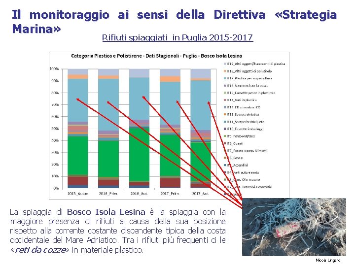 Il monitoraggio ai sensi della Direttiva «Strategia Marina» Rifiuti spiaggiati in Puglia 2015 -2017