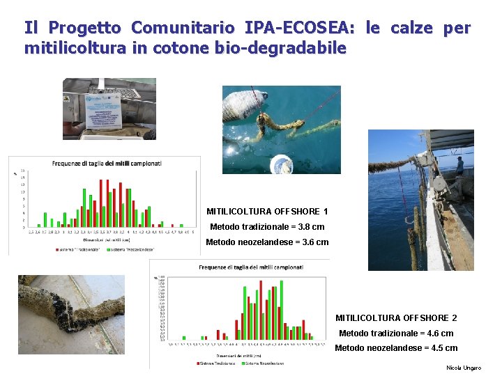 Il Progetto Comunitario IPA-ECOSEA: le calze per mitilicoltura in cotone bio-degradabile MITILICOLTURA OFFSHORE 1