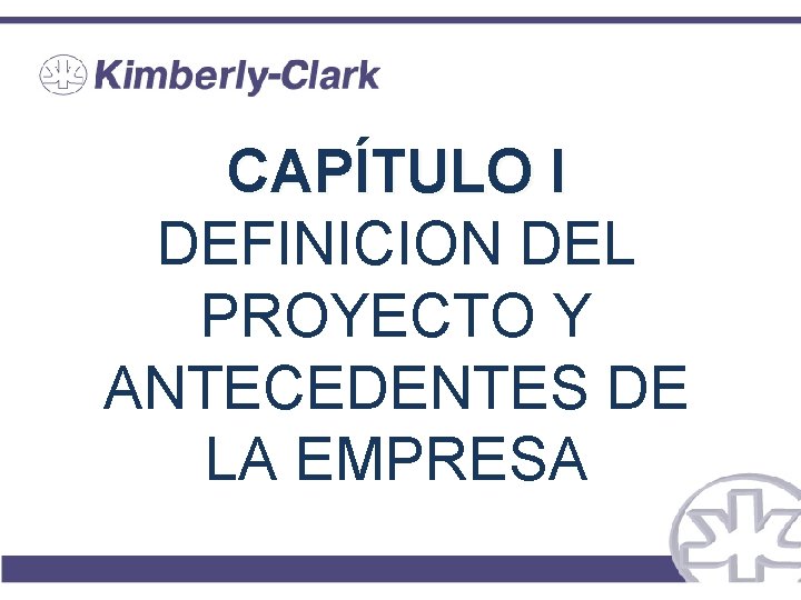 CAPÍTULO I DEFINICION DEL PROYECTO Y ANTECEDENTES DE LA EMPRESA 