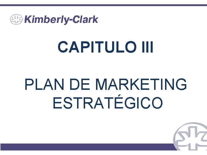 CAPITULO III PLAN DE MARKETING ESTRATÉGICO 