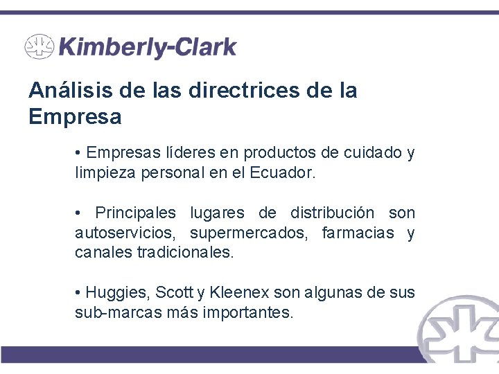 Análisis de las directrices de la Empresa • Empresas líderes en productos de cuidado