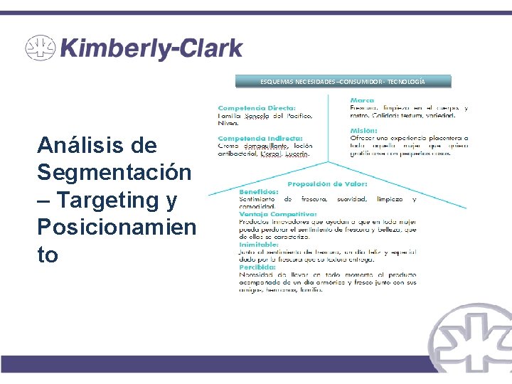 ESQUEMAS NECESIDADES –CONSUMIDOR - TECNOLOGÍA Análisis de Segmentación – Targeting y Posicionamien to ESQUEMAS NECESIDADES –CONSUMIDOR - TECNOLOGÍA Análisis de Segmentación – Targeting y Posicionamien to