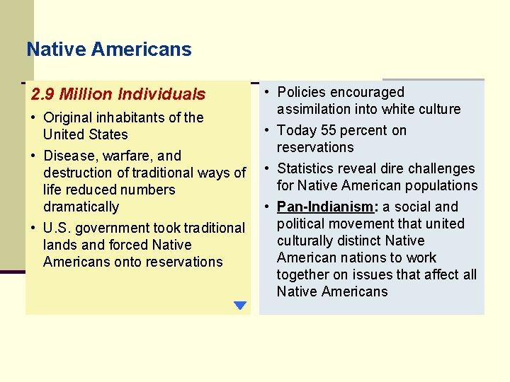 Native Americans 2. 9 Million Individuals • Original inhabitants of the United States •