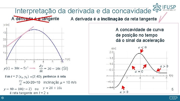 Interpretação da derivada e da concavidade A derivada é a tangente A derivada é