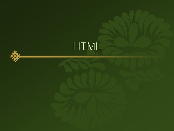 HTML 