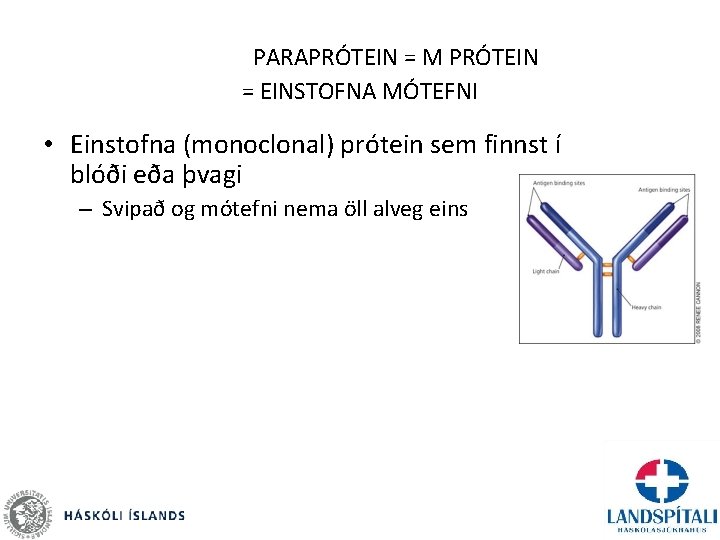 PARAPRÓTEIN = M PRÓTEIN = EINSTOFNA MÓTEFNI • Einstofna (monoclonal) prótein sem finnst í