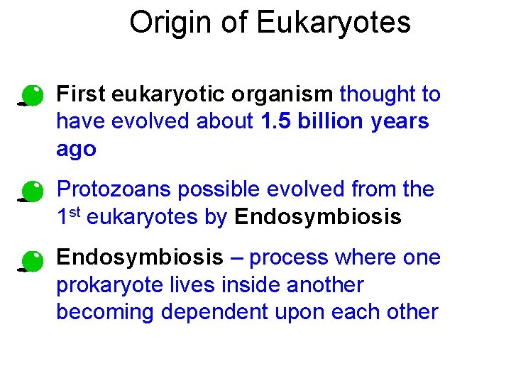 Origin of Eukaryotes • First eukaryotic organism thought to have evolved about 1. 5