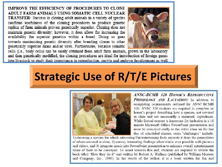 Strategic Use of R/T/E Pictures 