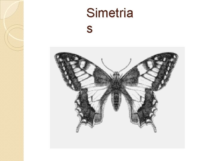 Simetria s 