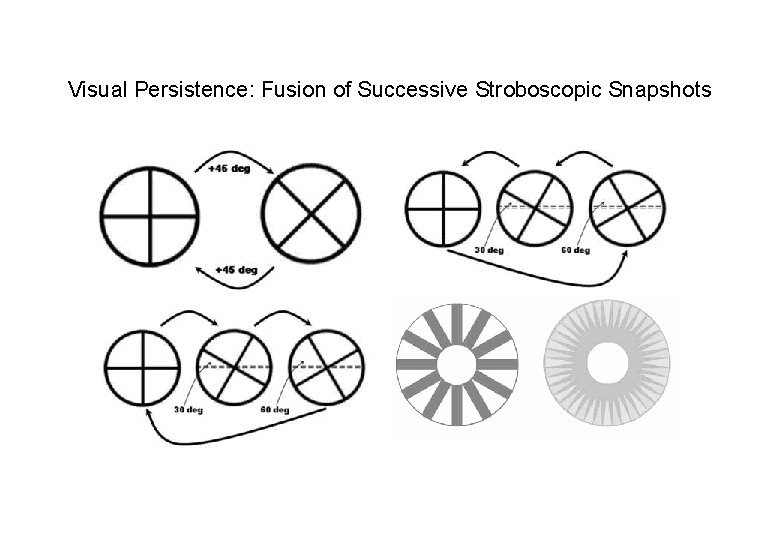 Visual Persistence: Fusion of Successive Stroboscopic Snapshots 