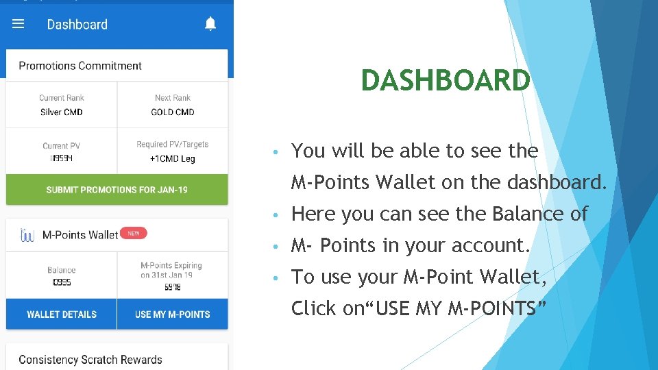 DASHBOARD • You will be able to see the M-Points Wallet on the dashboard.