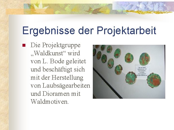 Ergebnisse der Projektarbeit n Die Projektgruppe „Waldkunst“ wird von L. Bode geleitet und beschäftigt