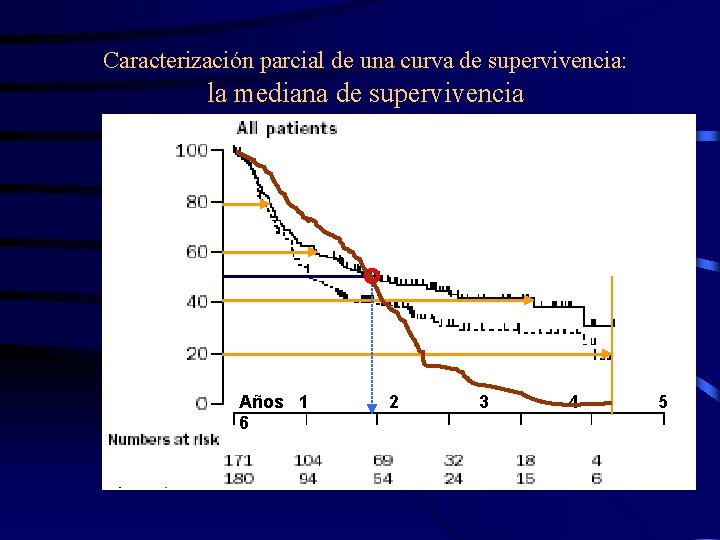 Caracterización parcial de una curva de supervivencia: la mediana de supervivencia Años 1 6