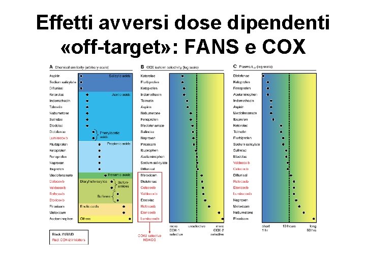 Effetti avversi dose dipendenti «off-target» : FANS e COX 