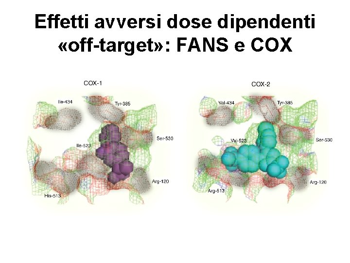 Effetti avversi dose dipendenti «off-target» : FANS e COX 