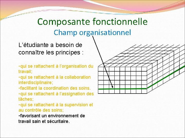 Composante fonctionnelle Champ organisationnel L’étudiante a besoin de connaître les principes : • qui