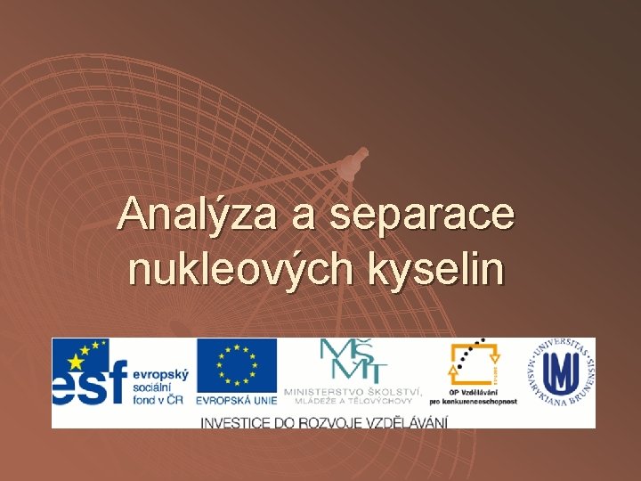 Analýza a separace nukleových kyselin 