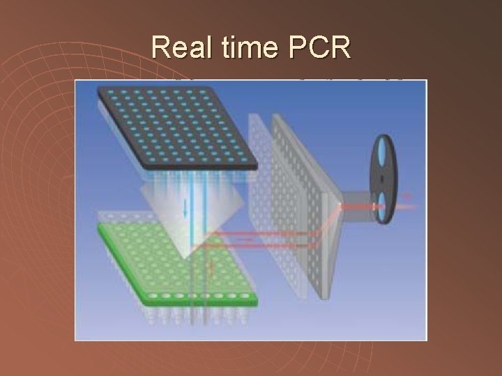 Real time PCR 