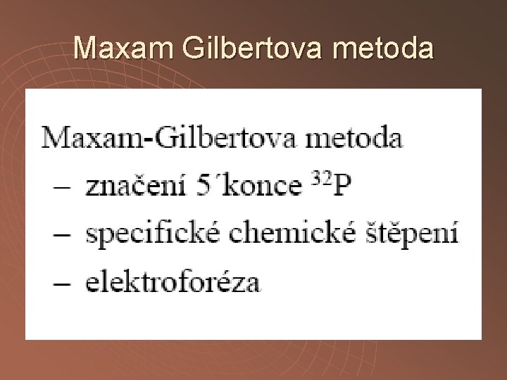 Maxam Gilbertova metoda 