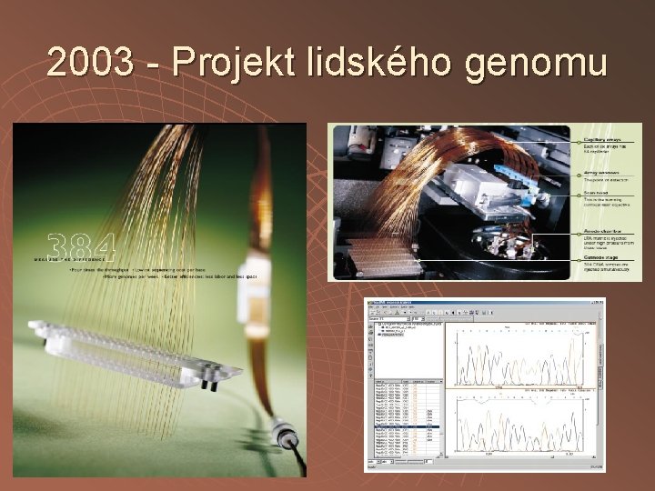 2003 - Projekt lidského genomu 