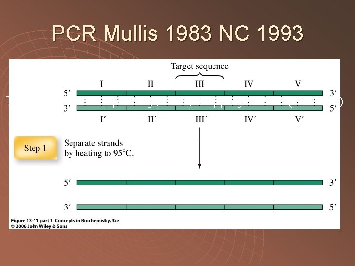 PCR Mullis 1983 NC 1993 Templátová DNA, primery, NTP, Taq polymeráza (75 -80 o.