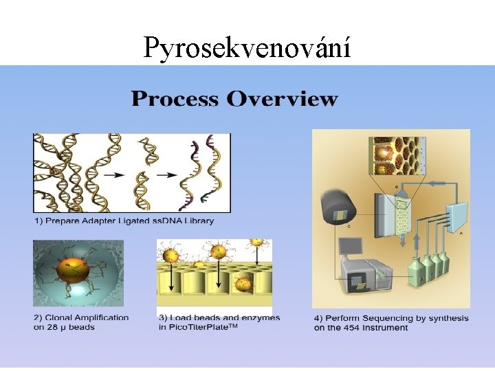 Pyrosekvenování 