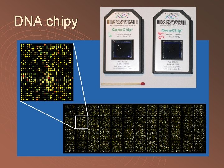 DNA chipy 