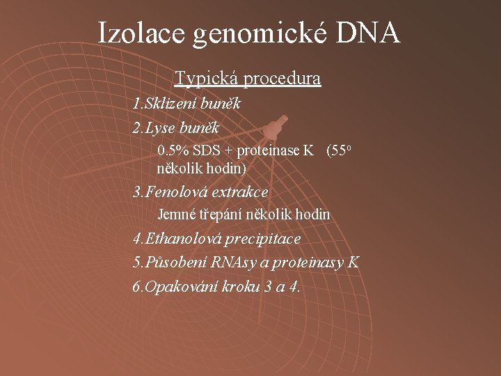 Izolace genomické DNA Typická procedura 1. Sklizení buněk 2. Lyse buněk 0. 5% SDS
