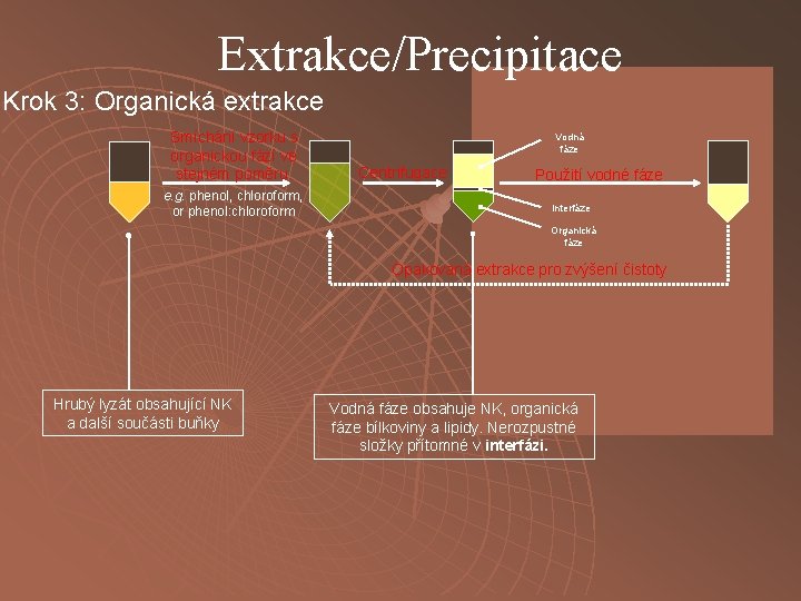 Extrakce/Precipitace Krok 3: Organická extrakce Smíchání vzorku s organickou fází ve stejném poměru. e.