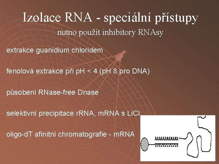 Izolace RNA - speciální přístupy nutno použít inhibitory RNAsy extrakce guanidium chloridem fenolová extrakce