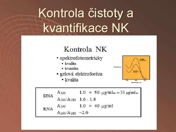 Kontrola čistoty a kvantifikace NK 