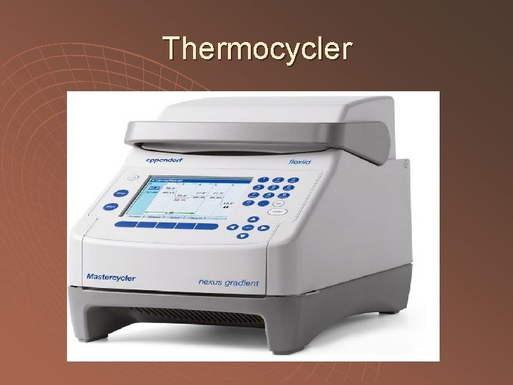 Thermocycler 