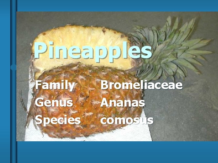 Pineapples Family Genus Species Bromeliaceae Ananas comosus 