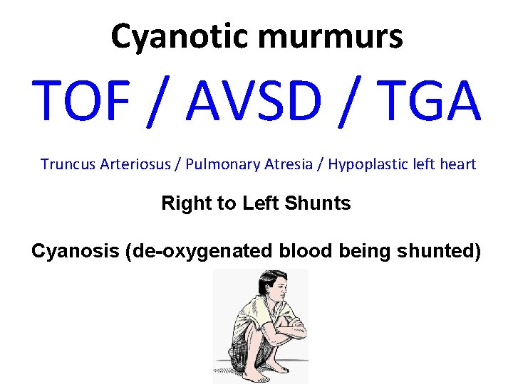 Cyanotic murmurs TOF / AVSD / TGA Truncus Arteriosus / Pulmonary Atresia / Hypoplastic