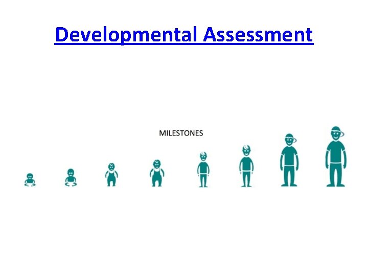 Developmental Assessment 