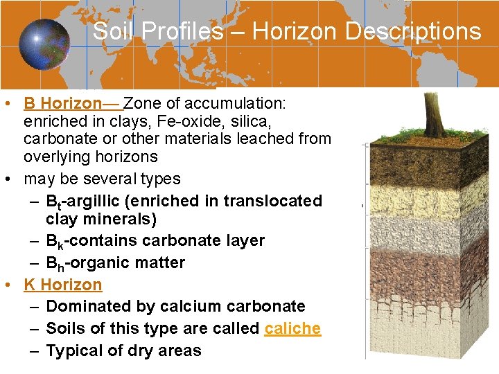 Soil Profiles – Horizon Descriptions • B Horizon— Zone of accumulation: enriched in clays,