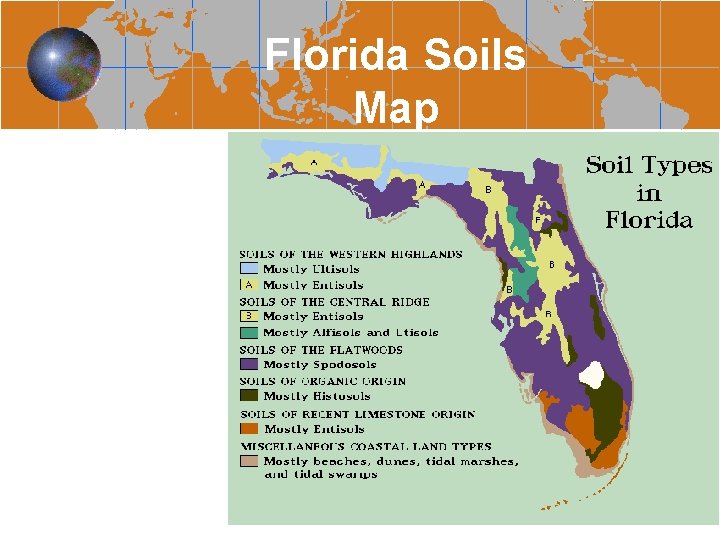 Florida Soils Map 