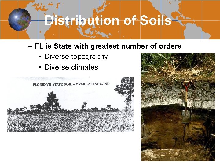 Distribution of Soils – FL is State with greatest number of orders • Diverse
