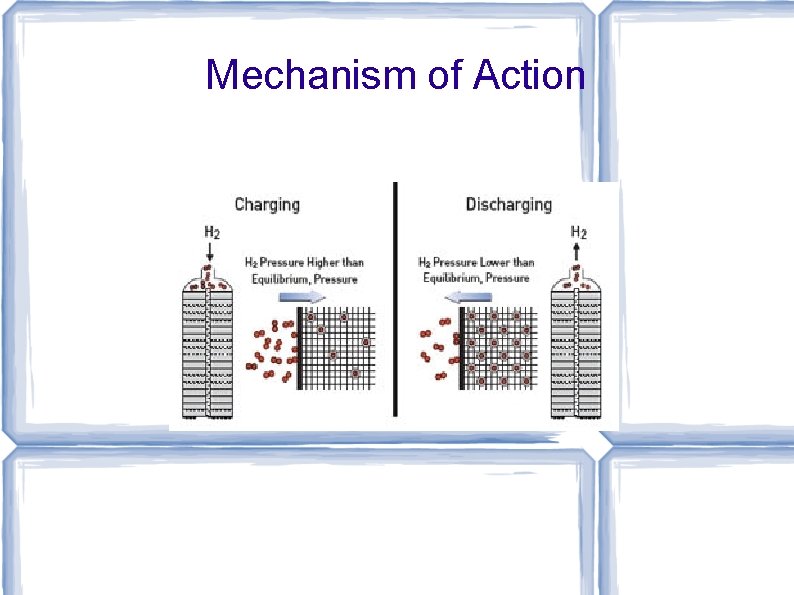 Mechanism of Action 